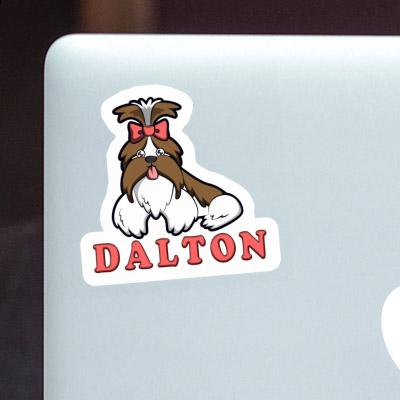 Shih Tzu Autocollant Dalton Laptop Shih Tzu Autocollant Dalton Laptop Image