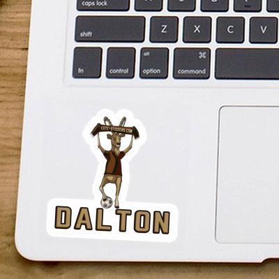 Sticker Dalton Steinbock Laptop Sticker Dalton Steinbock Laptop Image