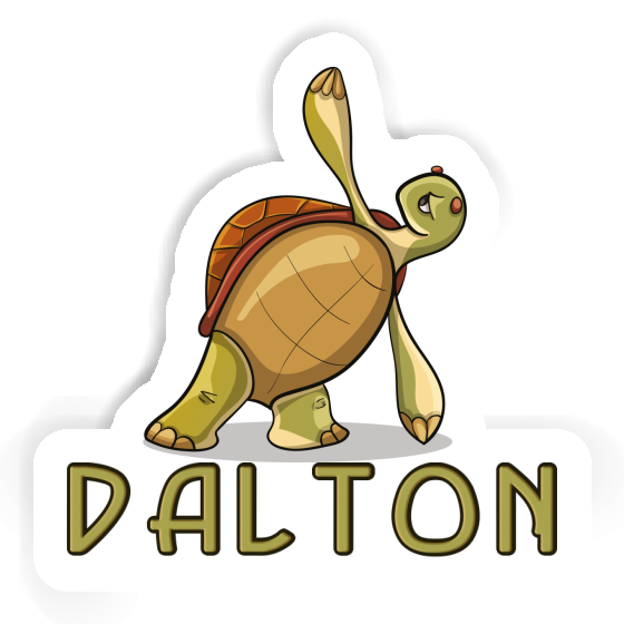 Yoga-Schildkröte Aufkleber Dalton Notebook Yoga-Schildkröte Aufkleber Dalton Gift package Image