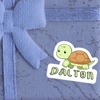 Tortue Autocollant Dalton Notebook Tortue Autocollant Dalton Notebook Image