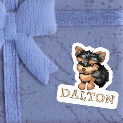 Dalton Autocollant Yorkshire Terrier Dalton Autocollant Yorkshire Terrier Image