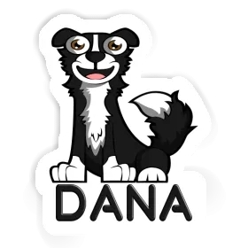 Sticker Dana Collie Image