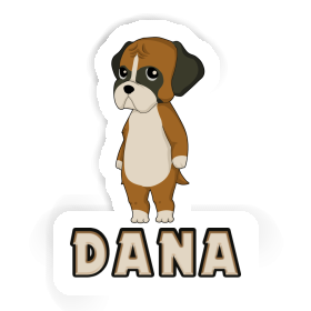 Dana Sticker Boxer Image