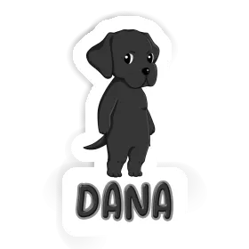 Labrador Autocollant Dana Image