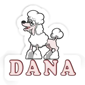 Autocollant Caniche Dana Image