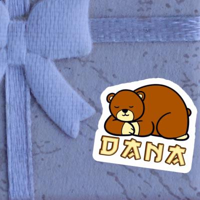 Dana Autocollant Ours Gift package Image