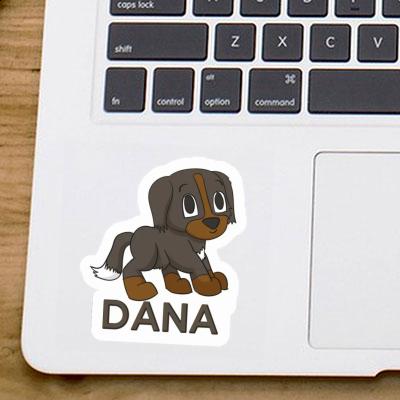 Sticker Dana Mountain Dog Laptop Image