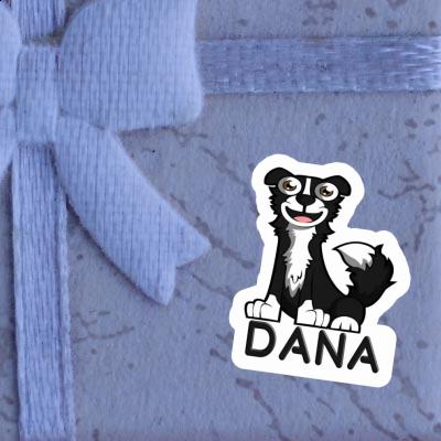 Autocollant Collie Dana Gift package Image