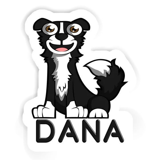 Autocollant Collie Dana Gift package Image