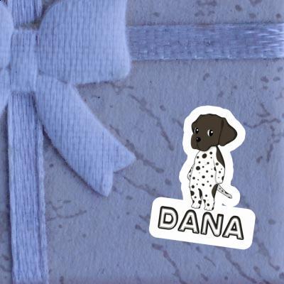 Sticker German Shorthaired Pointer Dana Gift package Image