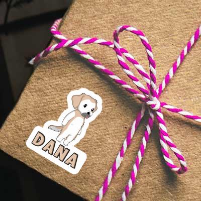 Autocollant Dana Golden Retriever Gift package Image