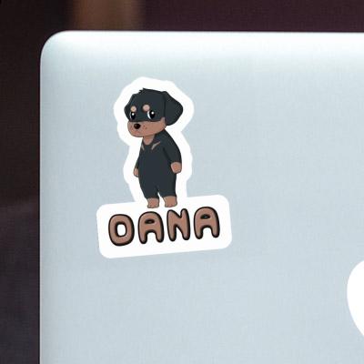 Dana Autocollant Rottweiler Laptop Image