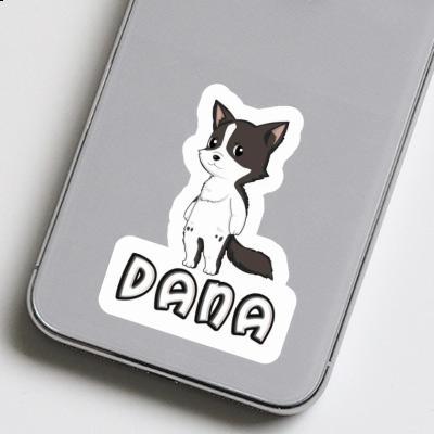 Dana Autocollant Collie border Gift package Image