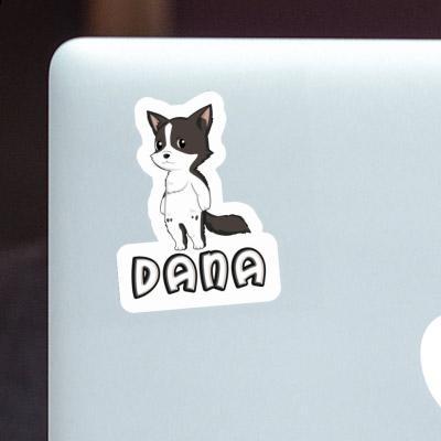 Sticker Border Collie Dana Gift package Image