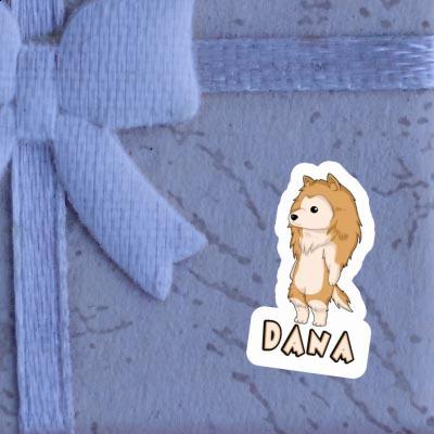 Sticker Dana Collie Image