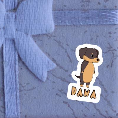 Sticker Dana Dachshund Gift package Image