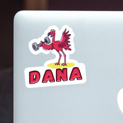 Sticker Dana Weight Lifter Gift package Image