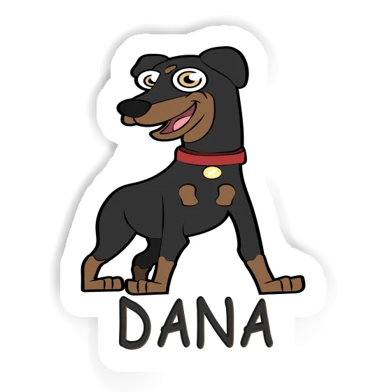 Autocollant Pinscher Dana Gift package Image