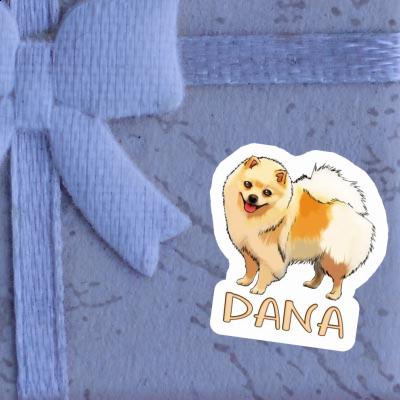 Dana Sticker Deutsche Spitze Gift package Image