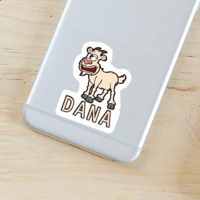 Sticker Dana Goat Laptop Image