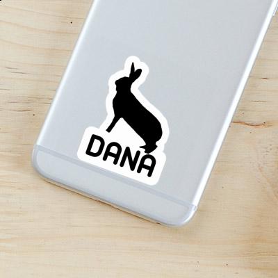 Lapin Autocollant Dana Laptop Image