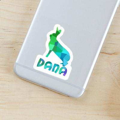 Dana Autocollant Lapin Gift package Image