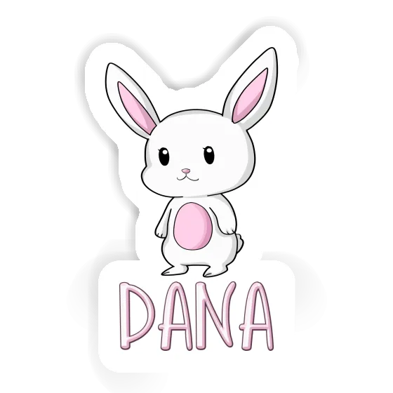 Autocollant Dana Lapin Gift package Image