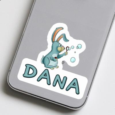 Sticker Hare Dana Gift package Image