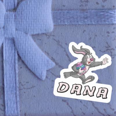 Autocollant Dana Lapin de rugby Gift package Image