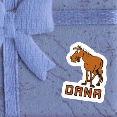 Horse Sticker Dana Gift package Image