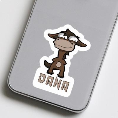 Horse Sticker Dana Gift package Image