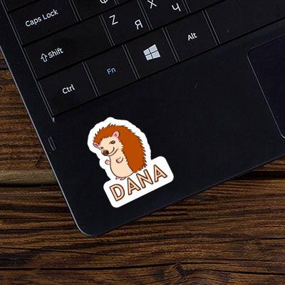 Sticker Dana Hedgehog Laptop Image
