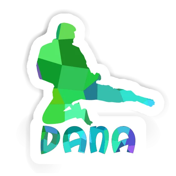 Dana Sticker Karateka Gift package Image