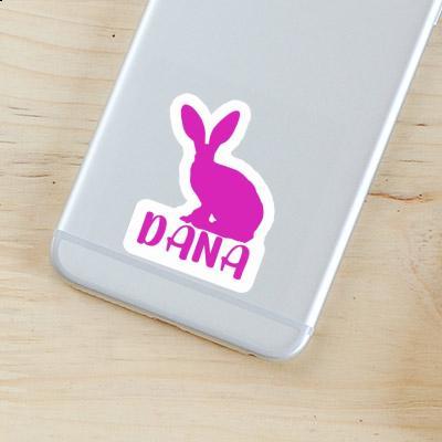 Autocollant Dana Lapin Gift package Image