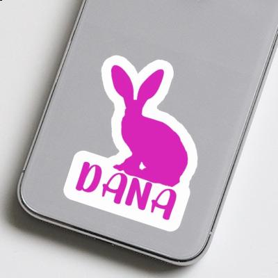 Autocollant Dana Lapin Gift package Image