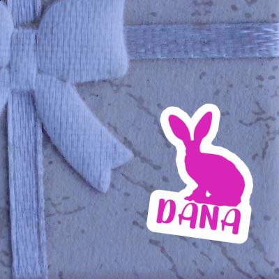 Autocollant Dana Lapin Laptop Image