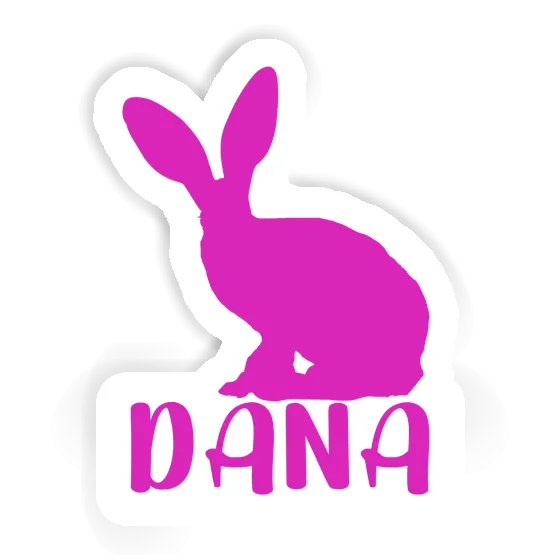 Autocollant Dana Lapin Gift package Image