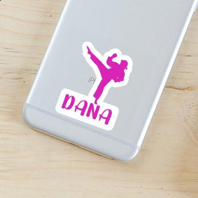 Sticker Karateka Dana Laptop Image