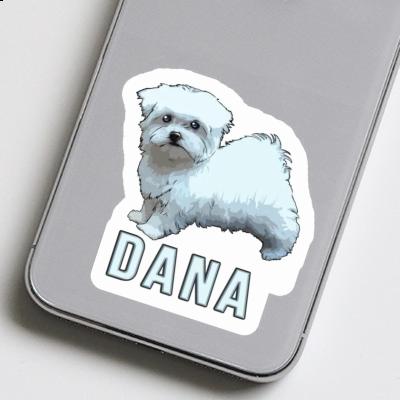Maltese Sticker Dana Image