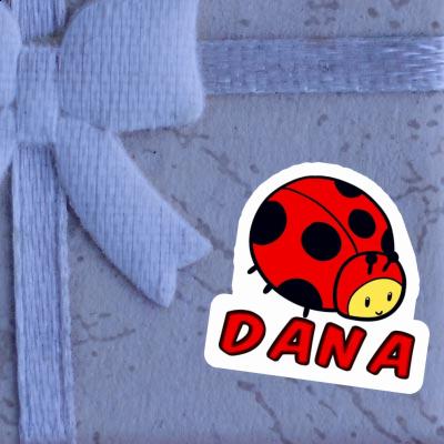 Autocollant Coccinelle Dana Gift package Image