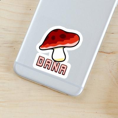 Dana Sticker Pilz Gift package Image