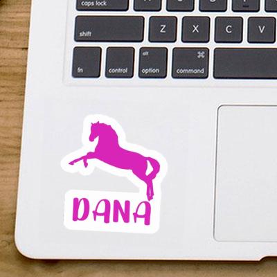 Horse Sticker Dana Gift package Image