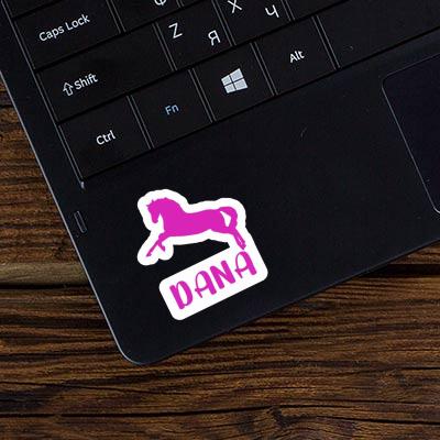 Dana Sticker Pferd Gift package Image