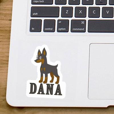 Sticker Pinscher Dana Notebook Image