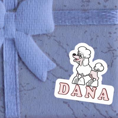 Autocollant Caniche Dana Gift package Image
