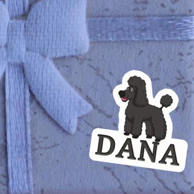 Autocollant Dana Caniche Gift package Image