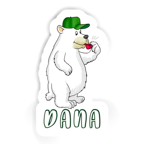 Dana Sticker Bear Gift package Image