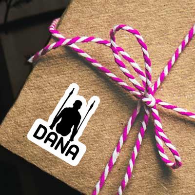 Autocollant Gymnaste aux anneaux Dana Gift package Image