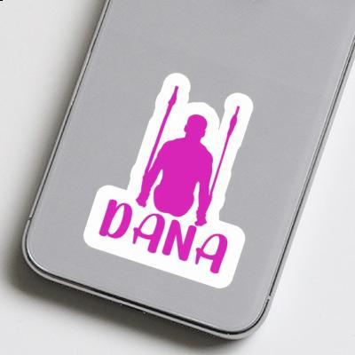 Sticker Dana Ringturnerin Gift package Image