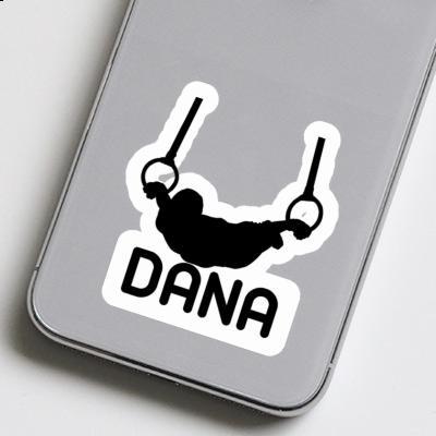 Ringturner Sticker Dana Gift package Image